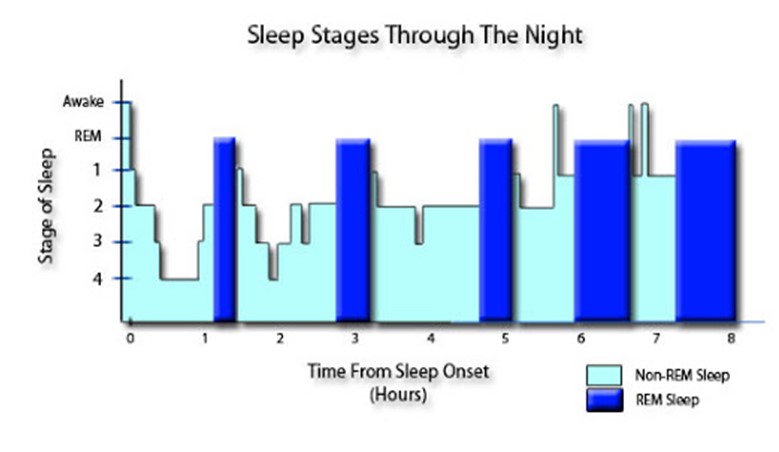 Sleep as Nutrition Part -1 - Conquering My Own Everest