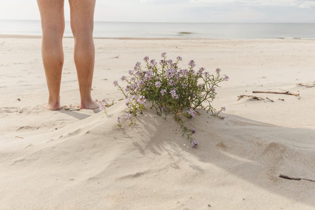 crop traveler on sandy beach against sea and blooming flowers
